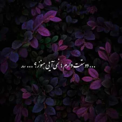 دانلود آهنگ  عروس رفته گل بچینه بگین این دور بچینه تاک داون