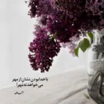 دانلود آهنگ بگذار غلط بروم عکس بر تنم بزنم مصفا