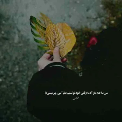 دانلود آهنگ بشمار 3 سه از ناجی شایع علی سورنا و محسن لرستانی