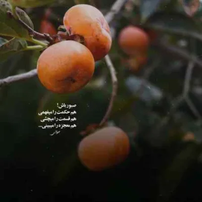دانلود آهنگ نویان بهادری پادکست چیل میل 4