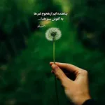 دانلود آهنگ من و تو کم نه که باید شب بی رحم و گل مریم و بیداری شبنم باشیم دانلود آهنگ من و تو کم نه که باید شب بی رحم و گل مریم و بیداری شبنم باشیم