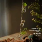 دانلود آهنگ حمید عسکری لااقل وفا که داشتم تو ولی اونم نداشتی دانلود آهنگ حمید عسکری لااقل وفا که داشتم تو ولی اونم نداشتی