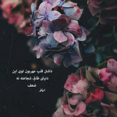 دانلود آهنگ  هر کوچه به کوچه هر خونه به خونه دنبالت می گردم