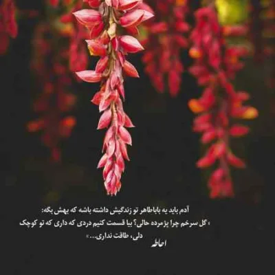 دانلود آهنگ هرکی بجز تو پیشم باشه سر میبره سریع حوصلمو مجید رضوی