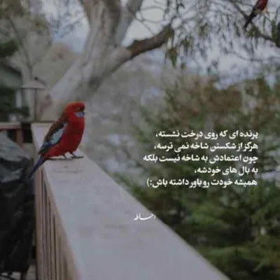 دانلود آهنگ هی ببین خودمو زدم به دیوونگی