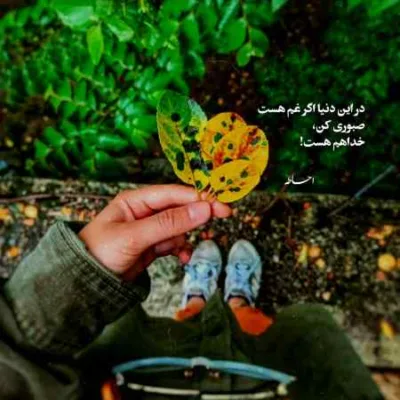 دانلود آهنگ  این قلب مال منه ولی ضربانش تویی مسلک
