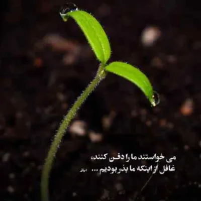 دانلود آهنگ Just The Two Of Us از Grover Washington Jr دانلود آهنگ Just The Two Of Us از Grover Washington Jr