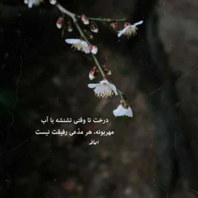دانلود آهنگ  من خودم و خدام یه کوه گردانیم اینستا