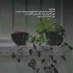 دانلود آهنگ منم و ترس حبس تند زدن نبض و استرس تتلو دانلود آهنگ منم و ترس حبس تند زدن نبض و استرس تتلو