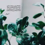 دانلود آهنگ برو که دیگه کنسلی برا من محسن پرهیز
