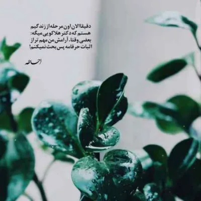 دانلود آهنگ برو که دیگه کنسلی برا من محسن پرهیز دانلود آهنگ برو که دیگه کنسلی برا من محسن پرهیز