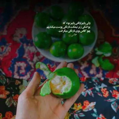 دانلود آهنگ  Mən Özüm Gedərəm از Çinarə Məlikzadə ترکی