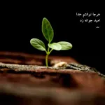 دانلود آهنگ نفسم بنده بهت دلبرم صدا میزنم تورو دخترم اهورا دانلود آهنگ نفسم بنده بهت دلبرم صدا میزنم تورو دخترم اهورا