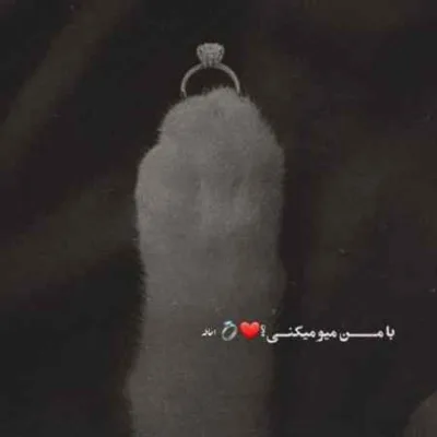 دانلود آهنگ نکنی کاری که مرغ دل بمیره وحید موسوی لری دانلود آهنگ نکنی کاری که مرغ دل بمیره وحید موسوی لری