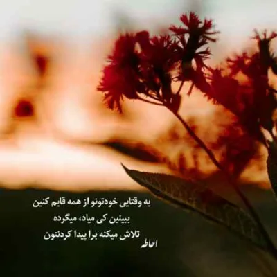 دانلود آهنگ نمونده پیشت حسی دیگه الان دیگه عشقی سییره علی گرامی