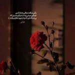 دانلود آهنگ نگاه کن نگاه کن چشمامو ابروهامو دانلود آهنگ نگاه کن نگاه کن چشمامو ابروهامو