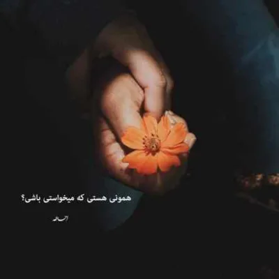 دانلود آهنگ  پرواز میکنم میرم از کنار اون که هر بار میومد میرفت شایان اشراقی