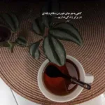 دانلود آهنگ دروغ چرا دلم تنگ واسه شب بخیرت حمید هیراد دانلود آهنگ دروغ چرا دلم تنگ واسه شب بخیرت حمید هیراد