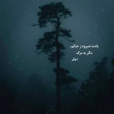 دانلود آهنگ موی کوتام تورو زیبا تر کرد سهیل میرجلیلی