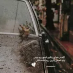 دانلود آهنگ تا خون تو رگ های منه تا دل گرفتار تنه زوار گرد خونتم مروارید رئیسی
