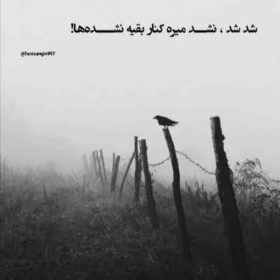 دانلود آهنگ تو دل بارونای نم نم تو باشی مجنونای شهرم هوش مصنوعی دانلود آهنگ تو دل بارونای نم نم تو باشی مجنونای شهرم هوش مصنوعی