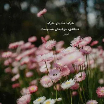 دانلود آهنگ تو گل یاسمنی شاخه ی نسترنی شاهرخ
