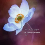 دانلود آهنگ جور ماهی و بان خاکم رامین کرمی زنده خوانی دانلود آهنگ جور ماهی و بان خاکم رامین کرمی زنده خوانی