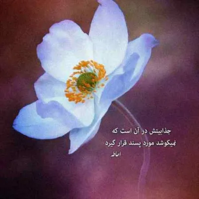 دانلود آهنگ جور ماهی و بان خاکم رامین کرمی زنده خوانی دانلود آهنگ جور ماهی و بان خاکم رامین کرمی زنده خوانی
