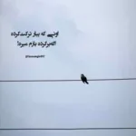 دانلود آهنگ basqany :( از AYAU & Shiza & M’Dee