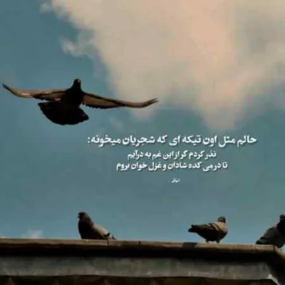 دانلود آهنگ ببین هر دفعه توی آغوشمی یه راز مگو رو بگو میکنم دانلود آهنگ ببین هر دفعه توی آغوشمی یه راز مگو رو بگو میکنم