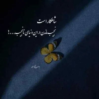 دانلود آهنگ دسته هاده مه دست بوریم از این شهر گل خوش بوی محمد کجوری