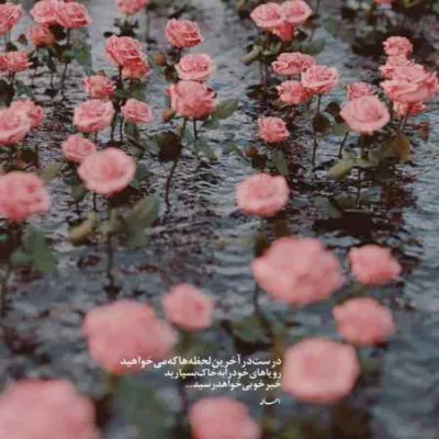 دانلود آهنگ فرشاد آزادی آشوب