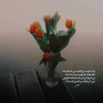 دانلود آهنگ فریبا منیم دونیام دانلود آهنگ فریبا منیم دونیام