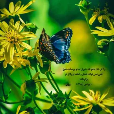 دانلود آهنگ قلب پاکت خیلی وقته با تنت قهره رامین تجنگی