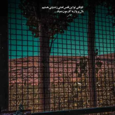 دانلود آهنگ همه‌ ی زورتو جمع کن شده حتی بغلم کن محسن چاوشی هوش مصنوعی