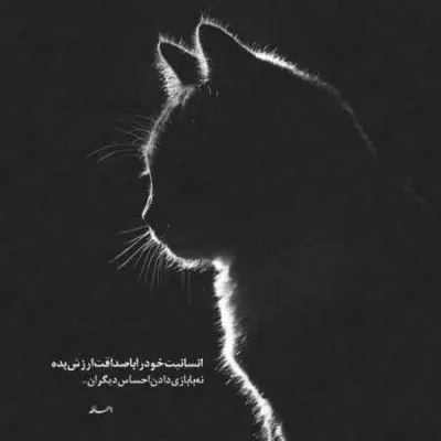 دانلود آهنگ کلی پلن چیدم از صبح که سوپرایز شه بریزه کرکش اپیکور دانلود آهنگ کلی پلن چیدم از صبح که سوپرایز شه بریزه کرکش اپیکور