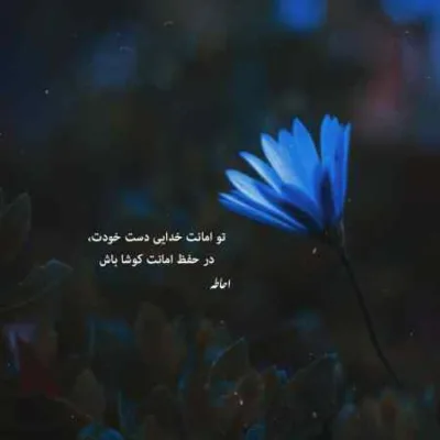 دانلود آهنگ من هنوز موندم لای خاطره ها گیر مسلک