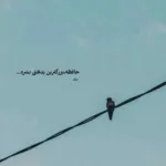 دانلود آهنگ من تو رو دوست دارم اندازه دنیا نمیتونم که بمونم بی تو