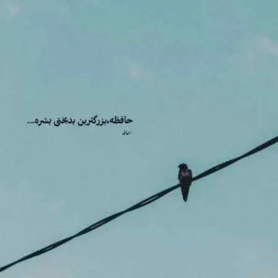 دانلود آهنگ من تو رو دوست دارم اندازه دنیا نمیتونم که بمونم بی تو