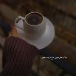 دانلود آهنگ مجتبی دربیدی دیدی شد دانلود آهنگ مجتبی دربیدی دیدی شد