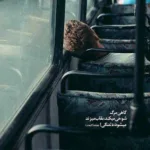 دانلود آهنگ نور چراغ خونه ی این دل دیوونه تویی معین دانلود آهنگ نور چراغ خونه ی این دل دیوونه تویی معین
