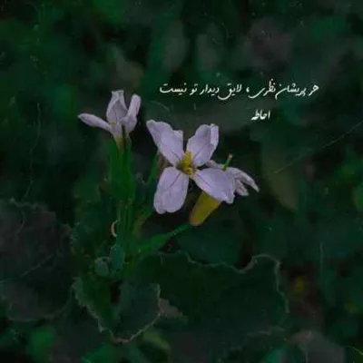 دانلود آهنگ صدمو گذاشتم به وقتش پشت پا زد رامین تجنگی