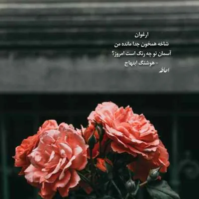 دانلود آهنگ شاخه شکستس دلم بینصیبو خستس دلم مرتضی