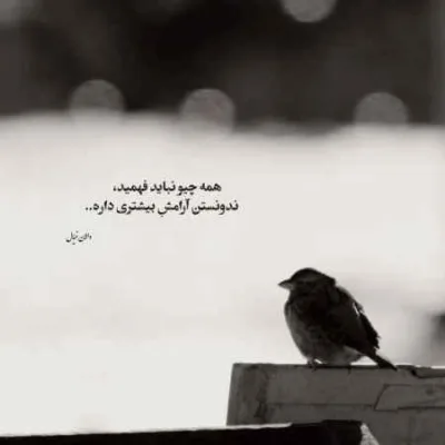 دانلود آهنگ  این روزا یه قاب عکس خالیم سیروان خسروی