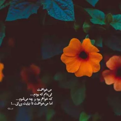 دانلود آهنگ عشقیم گوزلیم جان آلیبسان سیامک هاشمی