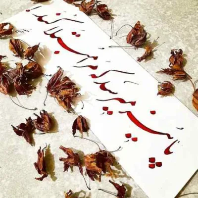 دانلود آهنگ  تو ندیدی چه غریبه جزیره بیس دار