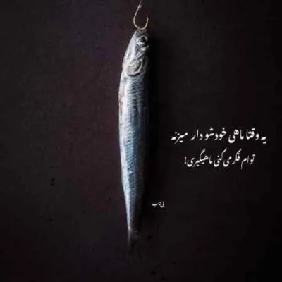 دانلود آهنگ تو سر جنگی محاله دلت آرامش بخواد محسن یگانه دانلود آهنگ تو سر جنگی محاله دلت آرامش بخواد محسن یگانه