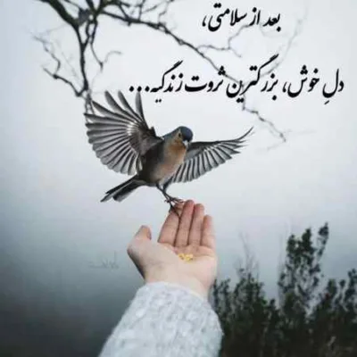 دانلود آهنگ تورو با غیر میبینم صدایم در نمیاد تاجیکی دانلود آهنگ تورو با غیر میبینم صدایم در نمیاد تاجیکی