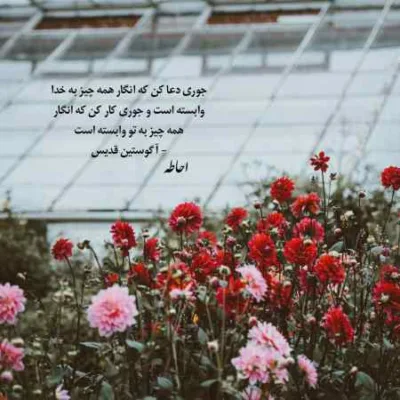 دانلود آهنگ یه تو رگی میرسه به منم که تو جمع هم حتی همیشه یه نفرم