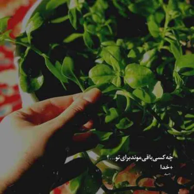 دانلود آهنگ بگو از پاکی چشمه منو لبریز خواستن کن فرزین